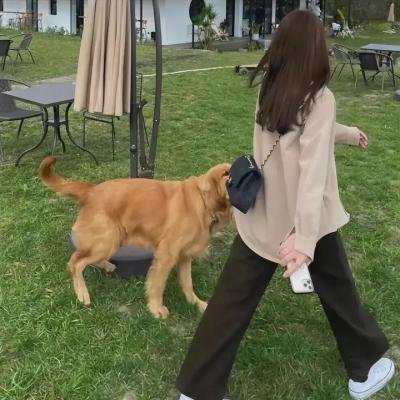学校里的疯子第五季